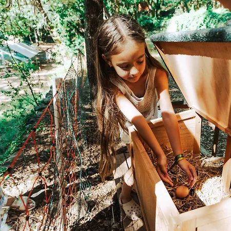 La Clementine Camping Cendras