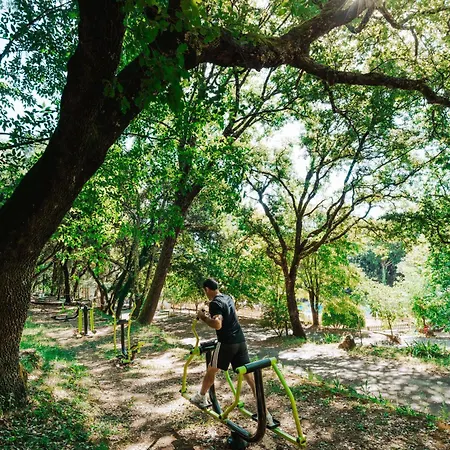 La Clementine Camping Cendras