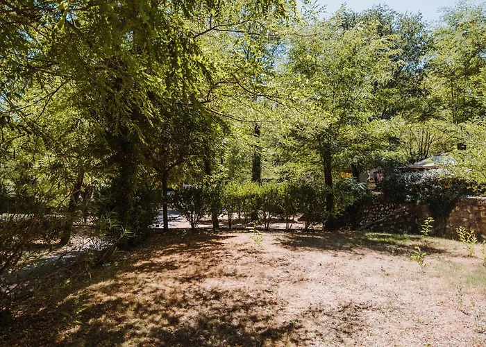 La Clementine * Cendras